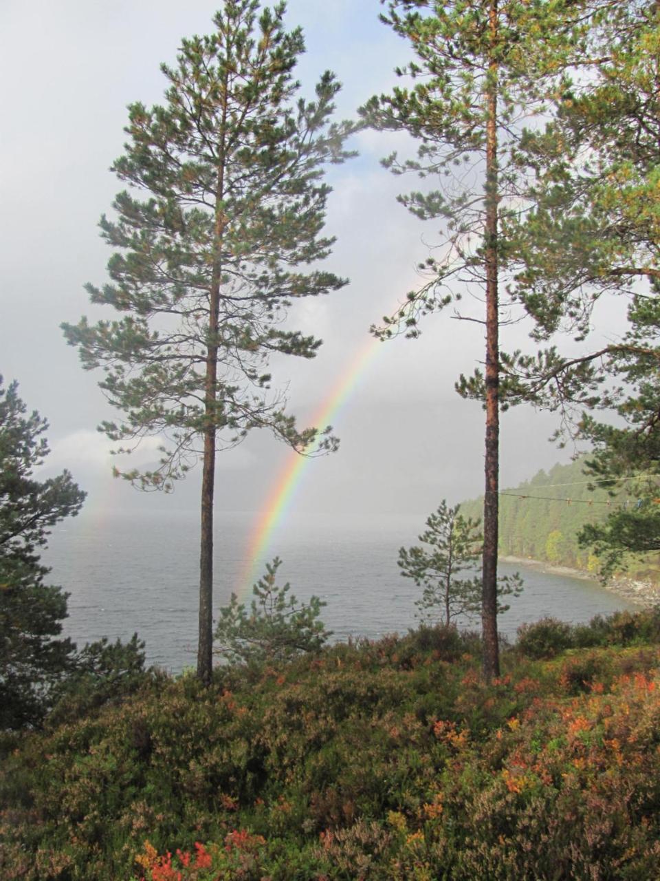 Naustloftet Villa Hornindal Екстериор снимка